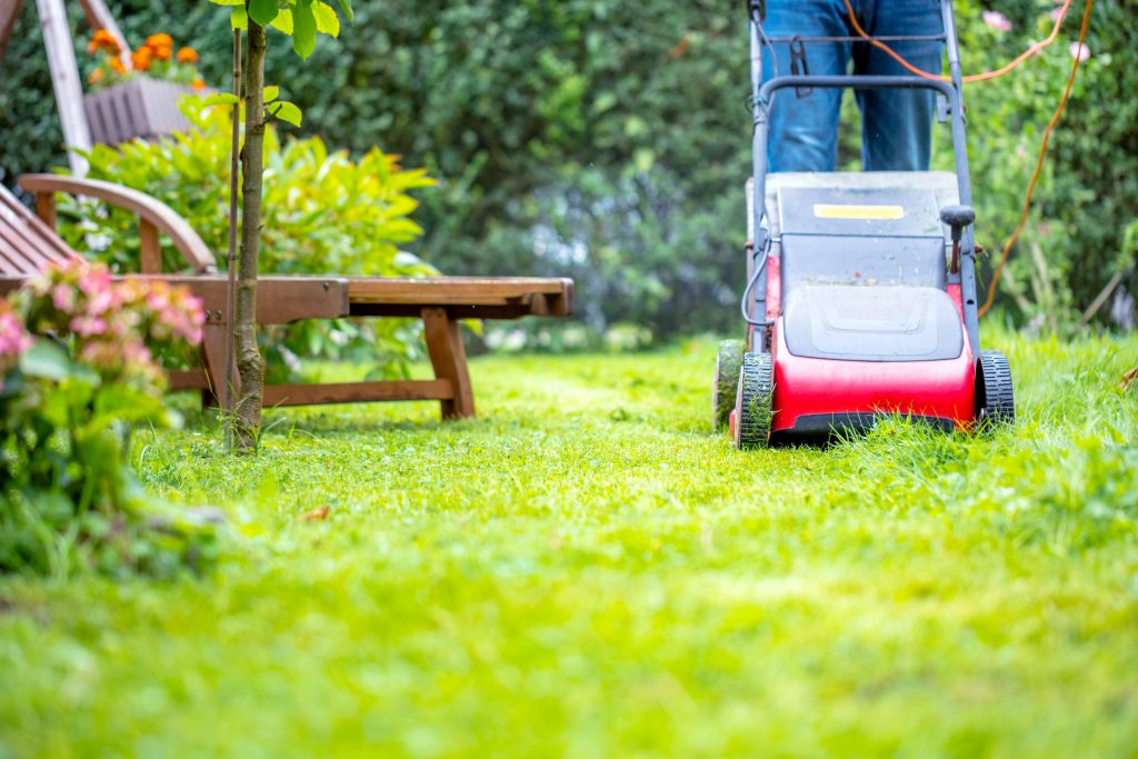 mann mäht rasen im eigenem garten
